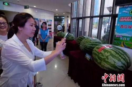 定州吃瓜事件最新爆料新闻,最新爆料揭示惊人内幕